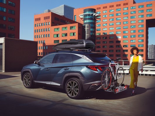 Молдинги дверей, матовий алюміній - Аксесуари від офіційного дилера Hyundai в Дніпрі та області - фото 12