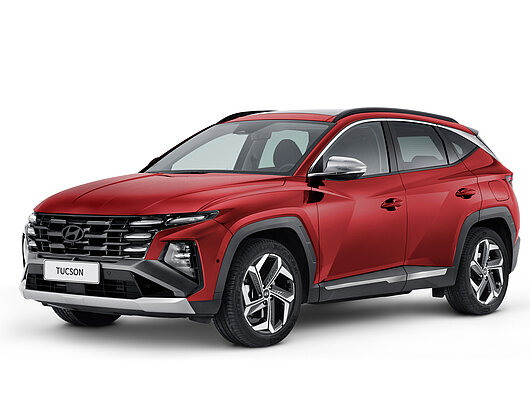 Комплект для оформлення екстер’єру, колір “матовий алюміній