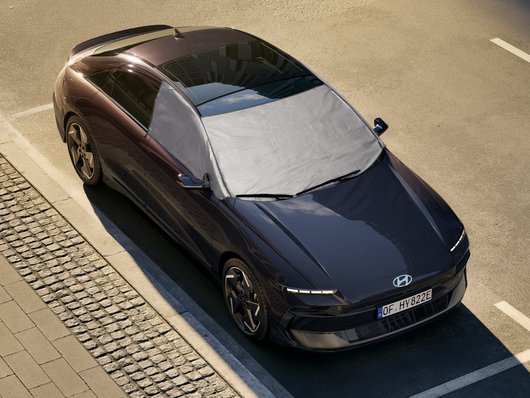 Захист скла від льоду/сонця - Аксесуари від офіційного дилера Hyundai в Дніпрі та області - фото 9